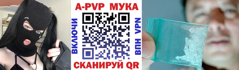 это телеграм Ершов Alfa_PVP крисы CK блэк спрут ссылки