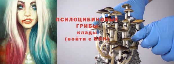 трава Беломорск