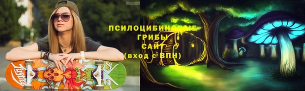 трава Беломорск