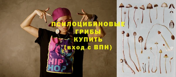 гашик Белокуриха
