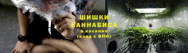 трава Беломорск