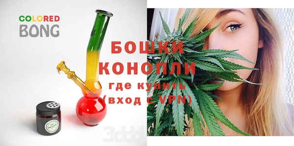 гашик Белокуриха