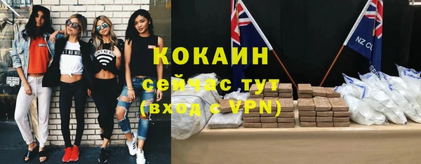 гашик Белокуриха