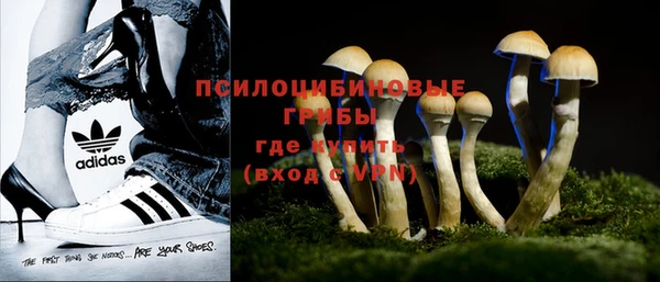 гашик Белокуриха